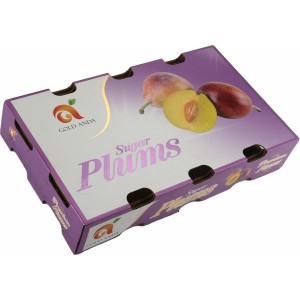 Top and bottom cardboard boxes for plums