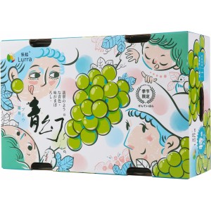 Customized Top and Bottom Cardboard Boxes for Grapes